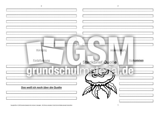 Qualle-Faltbuch-vierseitig-2.pdf